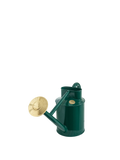Green Steel Watering Can 4.5L