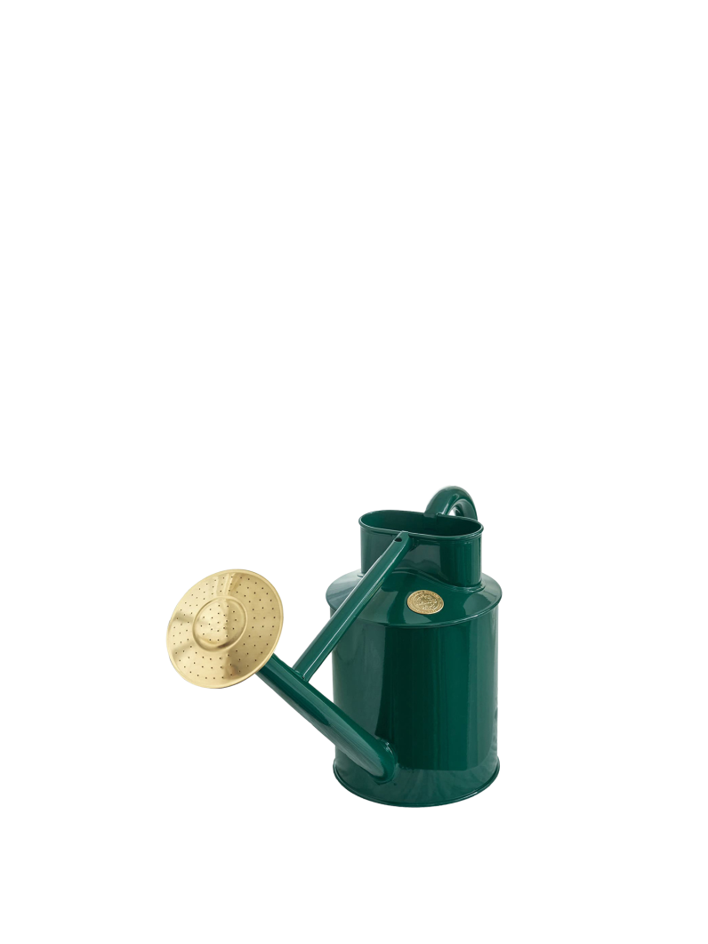 Green Steel Watering Can 4.5L